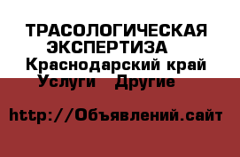 ТРАСОЛОГИЧЕСКАЯ ЭКСПЕРТИЗА. - Краснодарский край Услуги » Другие   